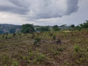 18acres of Land at Nakapinyi_mukono, Off Seeta High 1.8km Off Tarmac