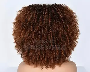 Short Curly Afro Wig