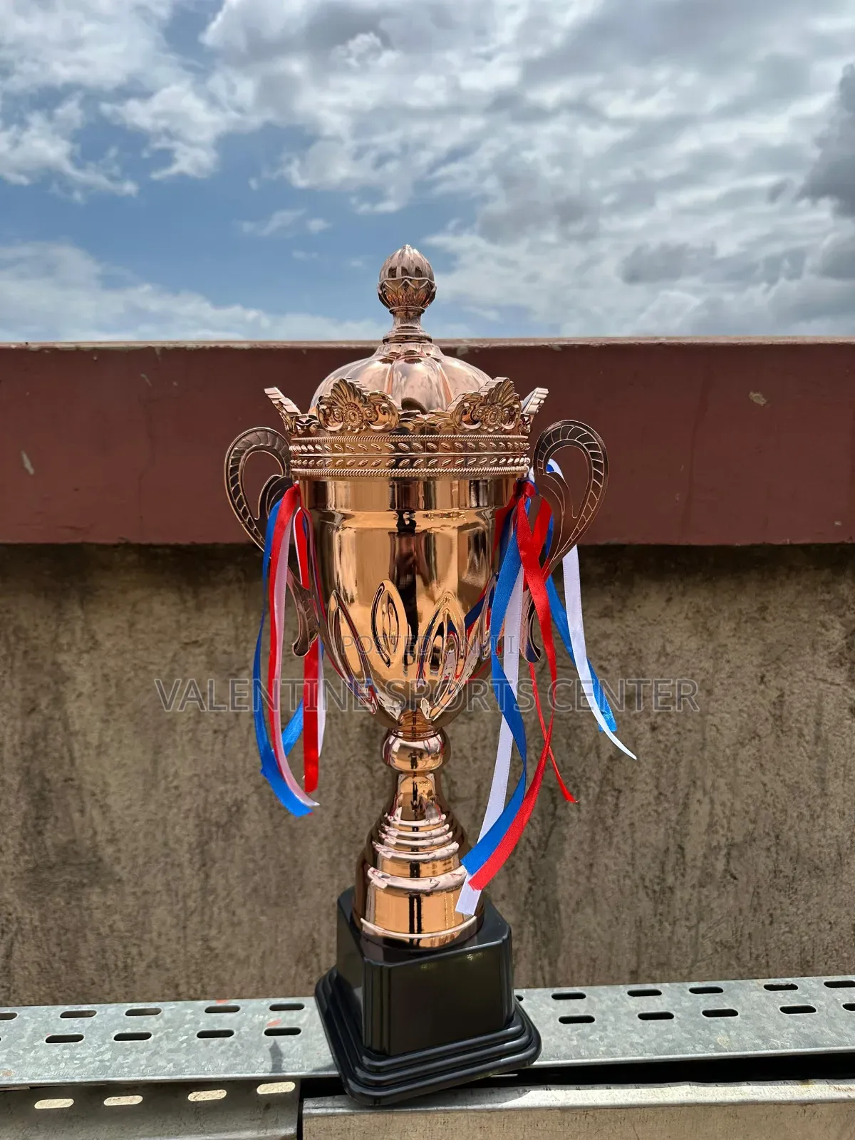 Bronze Trophy Original