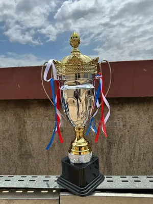 Silver Trophy Big Size Original Material
