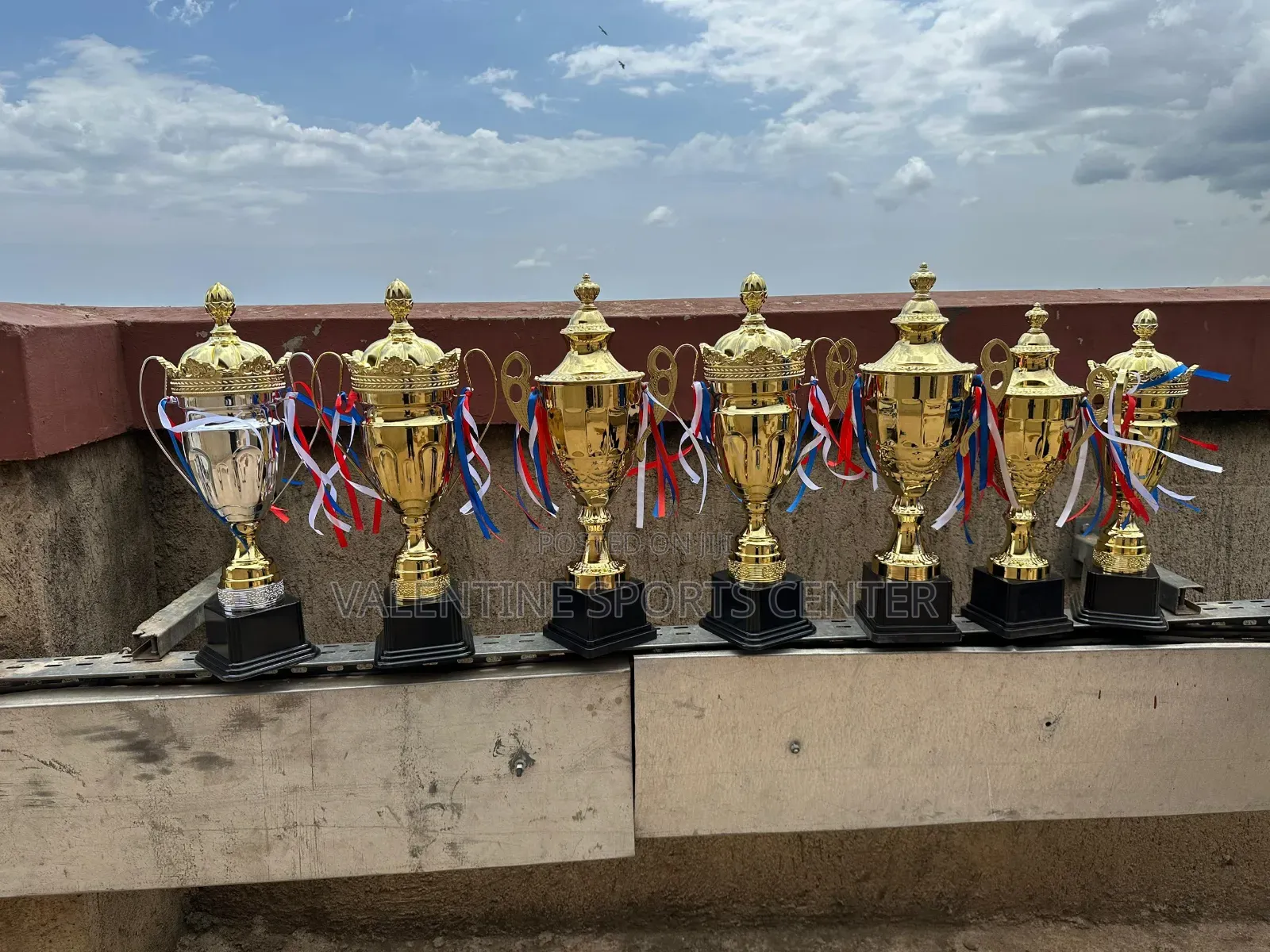 Same Size Trophies Gold Original Material