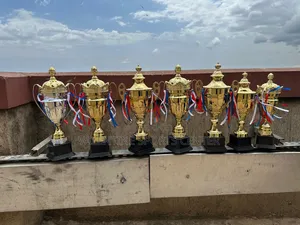 Same Size Trophies Gold Original Material