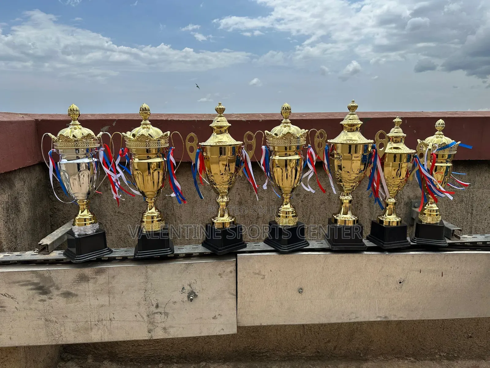 Same Size Trophies Gold Original Material