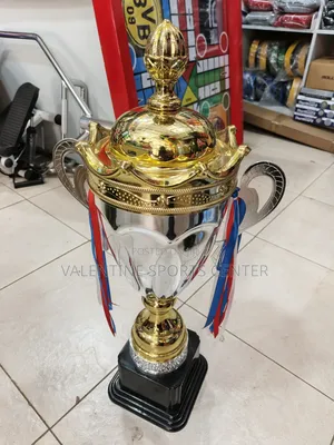 Silver Design Trophy Large Size Original Material