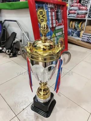 Silver Design Trophy Large Size Original Material