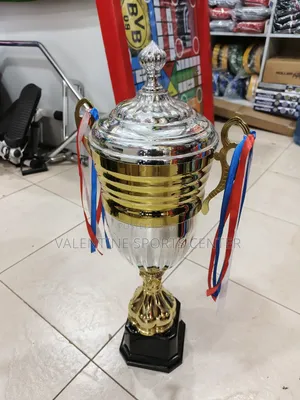 Silver and Gold Trophy Large Size Original Material