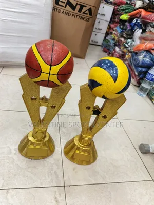 Brown Basketball Trophies Award Gold Original Material
