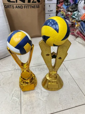 Awards Team Volleyball Basketball Trophy Original Material