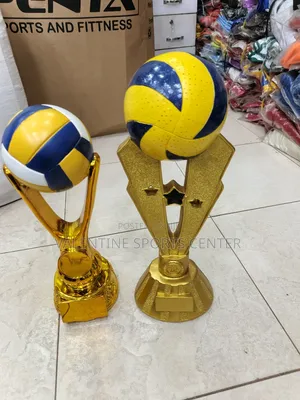 Awards Team Volleyball Basketball Trophy Original Material