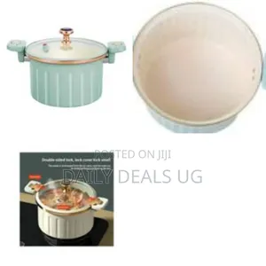 Multi-Functional Enamel Cast Iron Micro Pressure Cooker or Dutch Oven