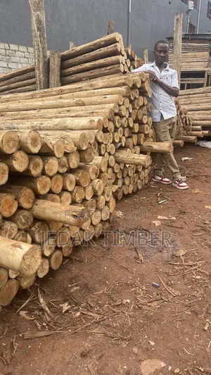 Timber Wholesale