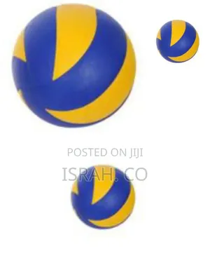 Molten Volley Ball