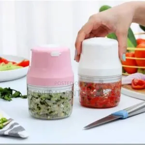 Portable, Wireless Electric Food Chopper