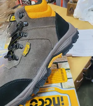 Safety Shoes Ingco All Sizes