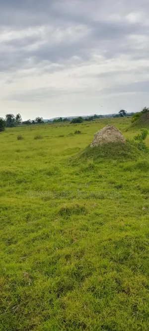 200 Acres of Land for Lease in Bukomero Kiboga Per Acre