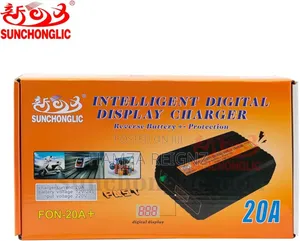 Intelligent Digital Display Battery Charger 20a