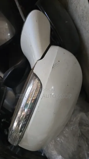 Mark X 2010 Sidemirror