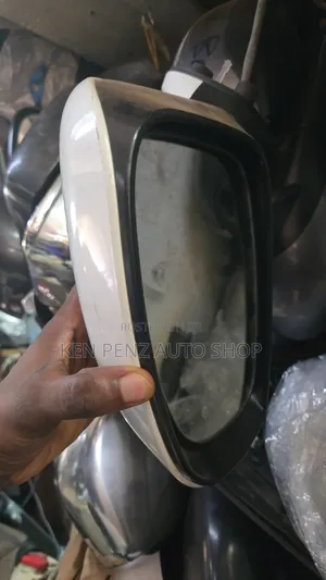 Mark X 2010 Sidemirror