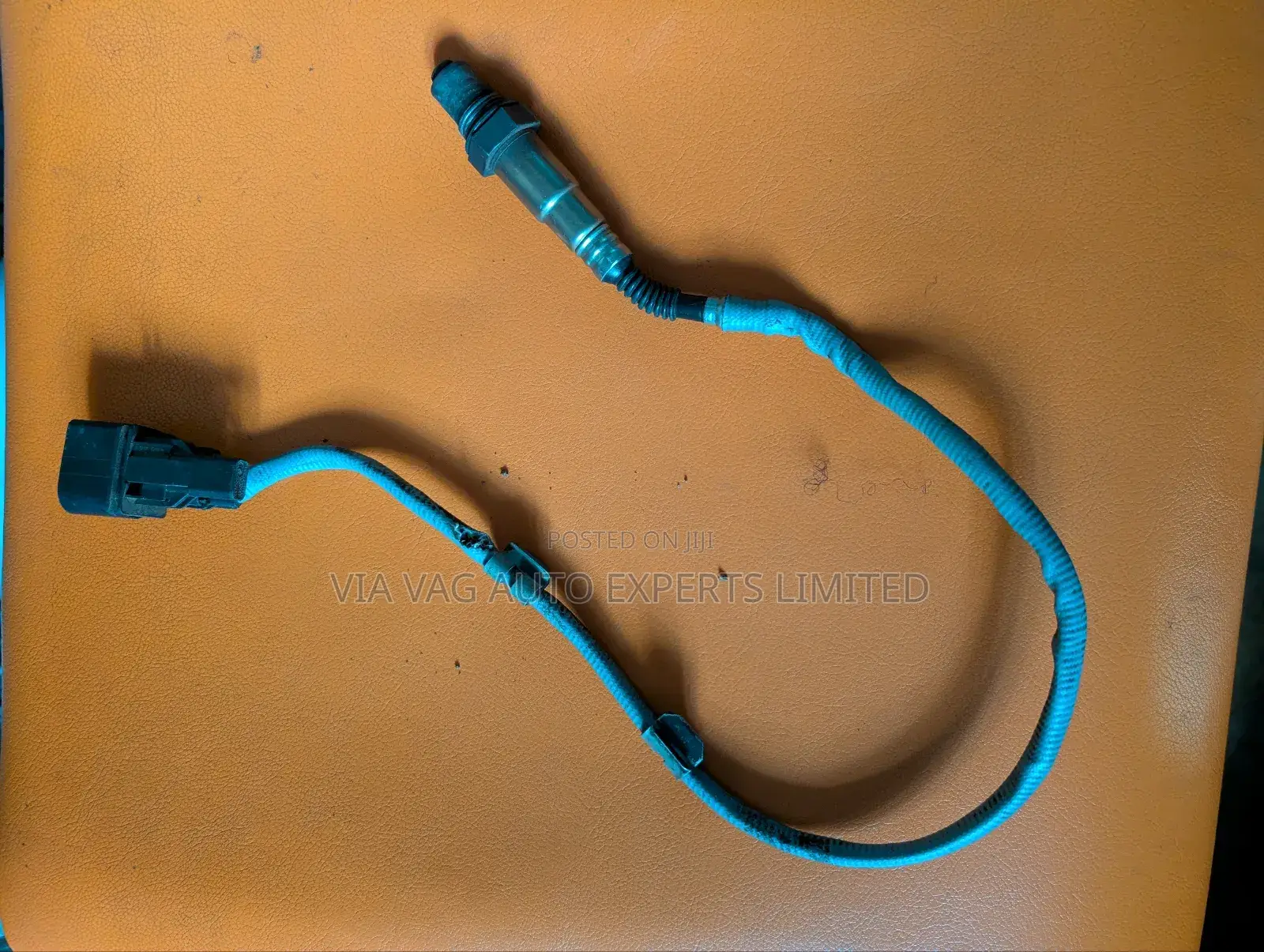Oxygen Sensor