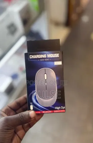 Rechargeable Mouse