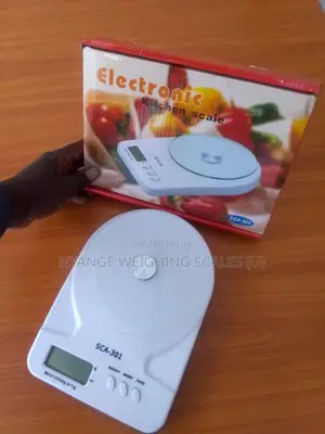 Accurate Bakery Weighing Scale 10kg Weigh Digital Mini Weighing Scale