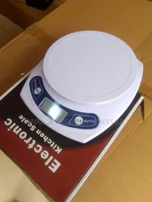 Digital Weighing Scale 3000g/1g Digital Weigh Portable Weighing Scale
