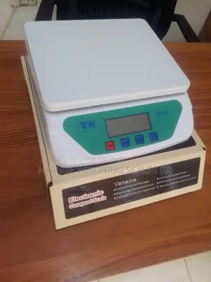 Warehouse Platform Weighing Scale 30kg Weigh Digital Weighing Scale