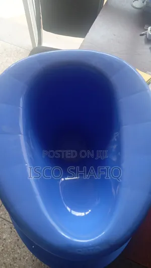 Plastic Toilet Seat