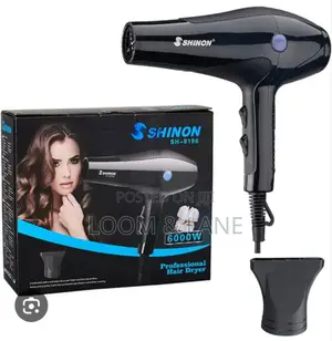 Shinon Sh-8108 Professional Hair Dryer