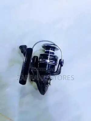 3000 Spinning Fishing Reel
