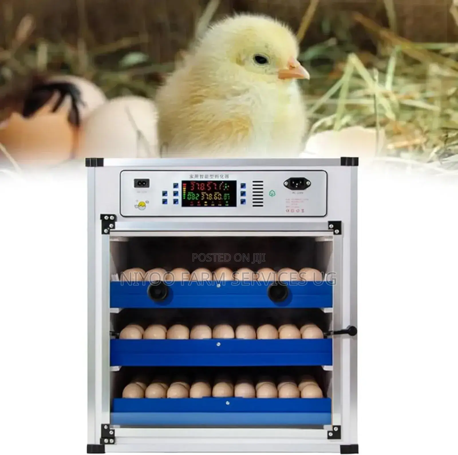 204 Imported Incubator