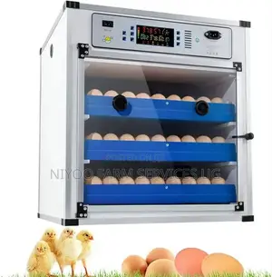 204 Imported Incubator
