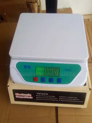 Electronic Weighing Scale 30kg Weigh Display Electronic Weighing Scale