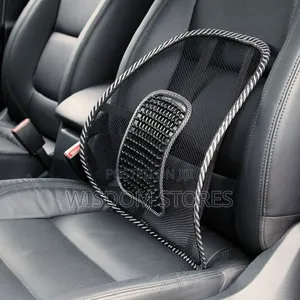 Lumbar Mesh Back Brace Support