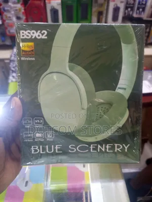 Bs962 Wireless Headphones.
