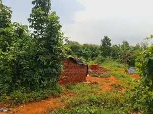 Plot for Sale at Wakiso Jimbo