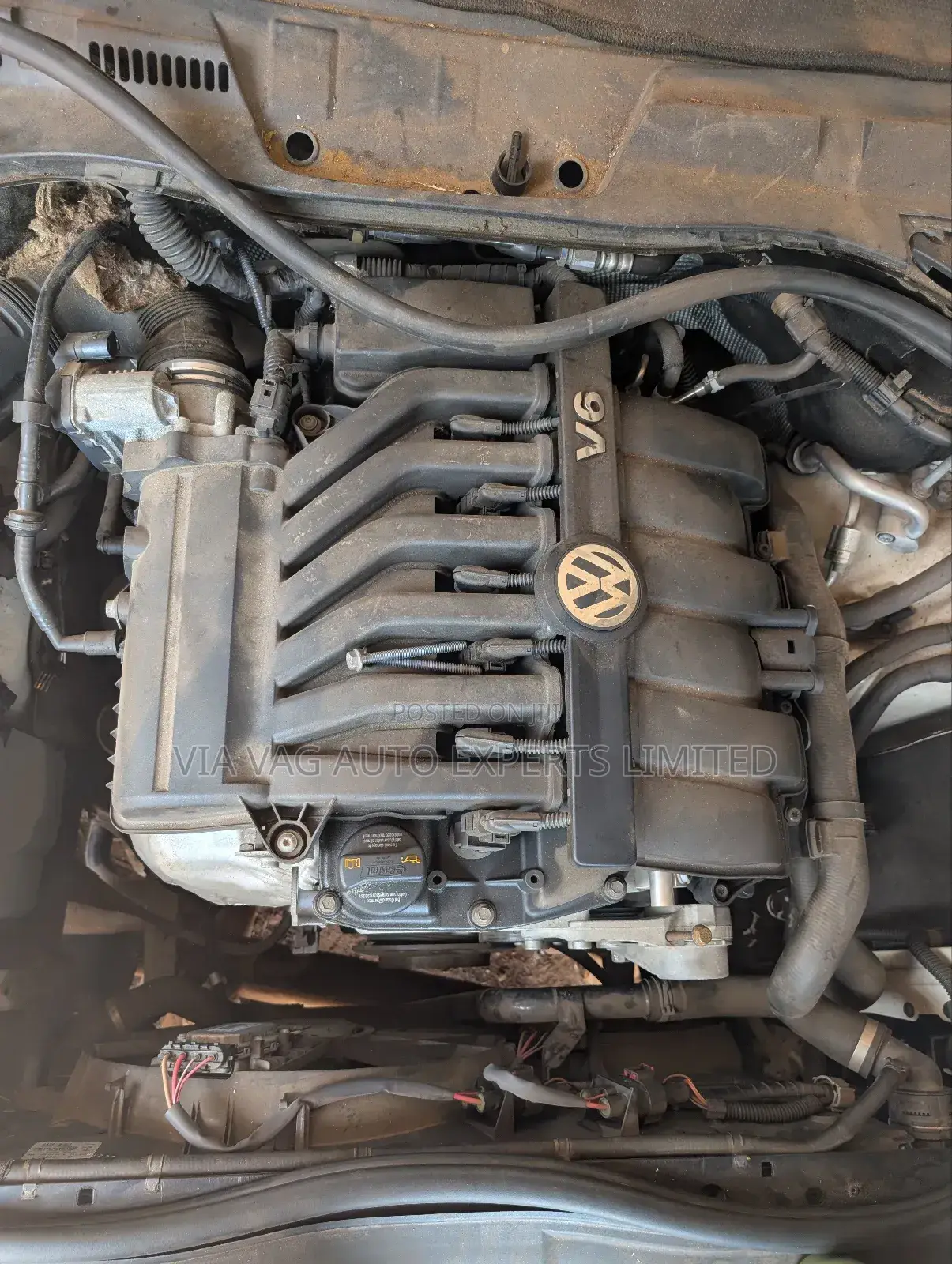 2010 Engine