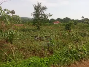 Private Milo Land Kabembe Mukono 1.5km Off Road Title Available