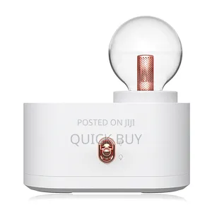 3 In1 Night Light Humidifier With Lamp