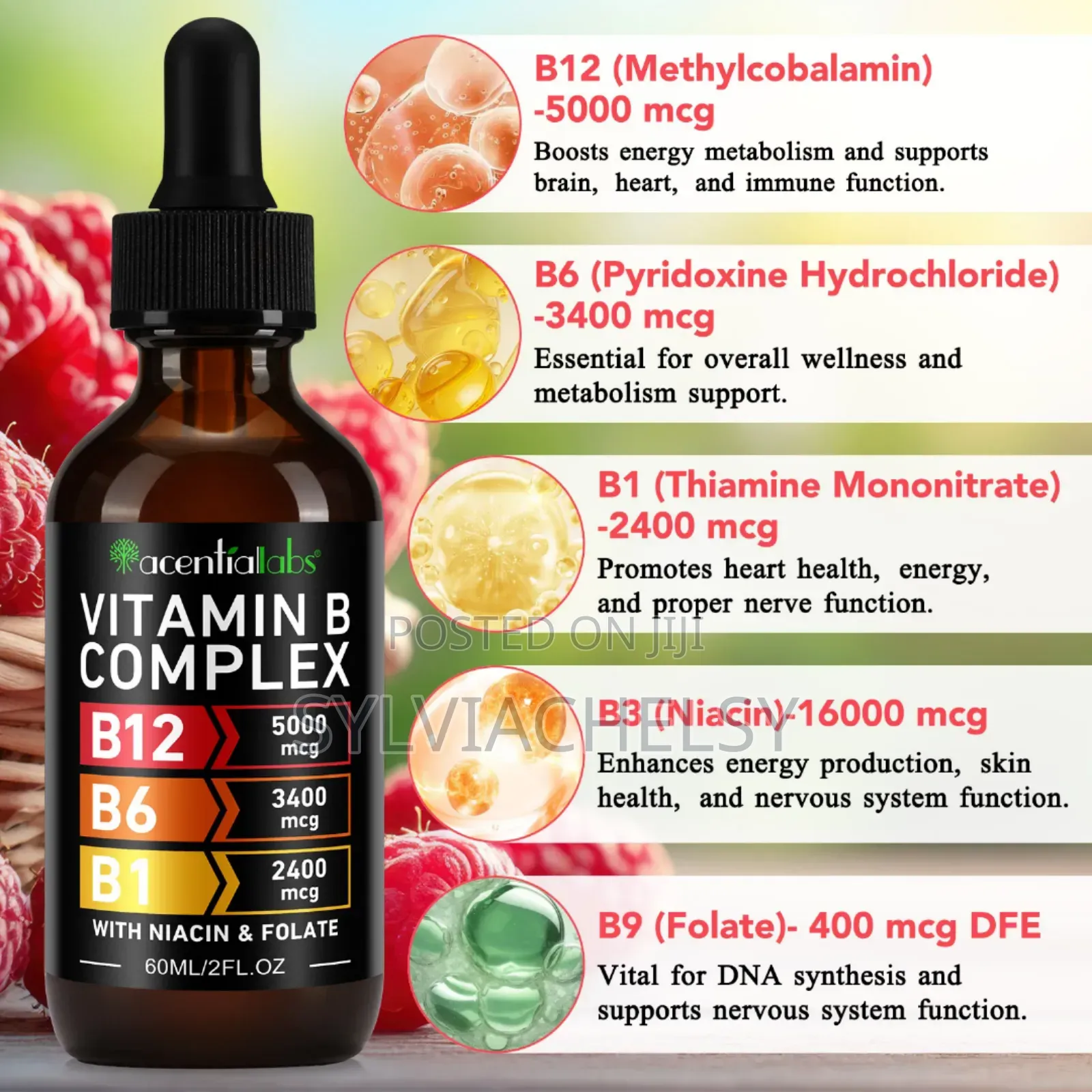 Vitamin B Complex