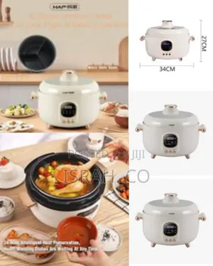 4 Litre Desktop Integrated Duck Fast Electric Pressure Cooker