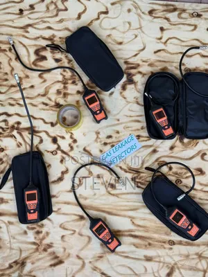 Gas Detectors