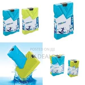 Pinnacle 2 Pack Cooler Ice Packs Brick Freezer Block 330 Ml Reusable