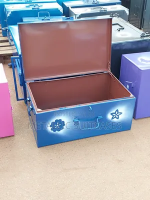 Medium Metallic Luggage for School