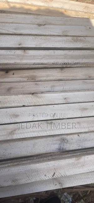 Timber Cheap Price