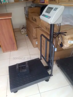 Portable Weigh Platform Weighing Scale 200kg Digital Weighing Scale