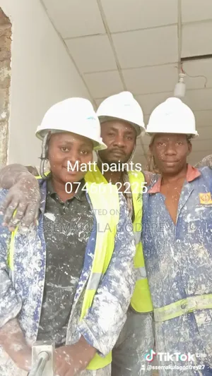 Professional Painters