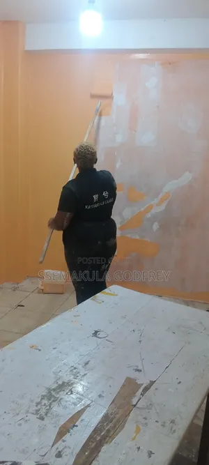Professional Painters
