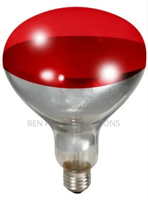 250w Infrared Brooder Bulbs