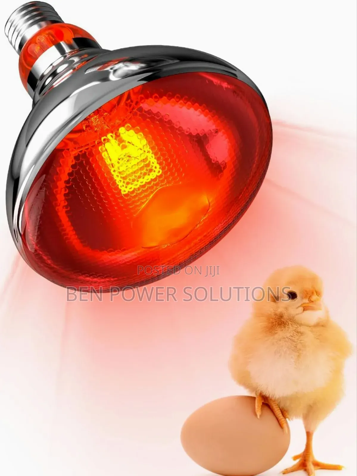 250w Infrared Brooder Bulbs